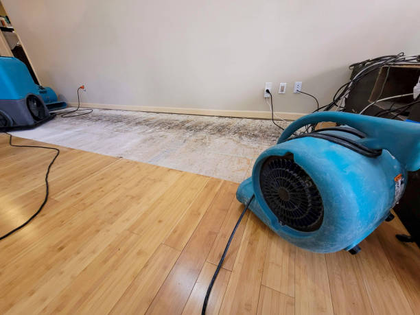 Professional Emergency Water Damage technician working in Dublin, PA
